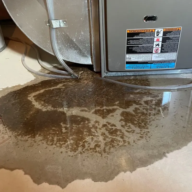 Pipe Burst and Leak Restoration in Palenville, NY